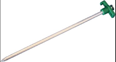 Haba spijkerharing set in koffer - 20 stuks - groene kop - rotsharing