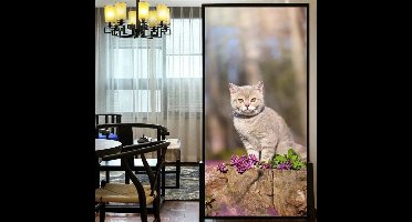Raamfolie kat - poes - 60 x 120 cm