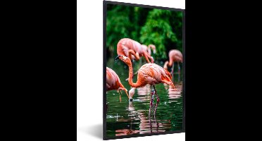 PosterMonkey - Poster - Fotolijst - Vogel - Water - Flamingo - Tropical - Dieren - 20x30 cm - Poster in lijst - Poster flamingo - Foto met lijst - Poster met kader