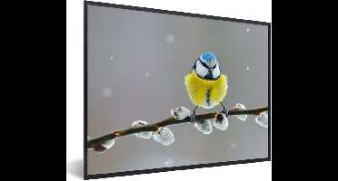 PosterMonkey - Poster - Fotolijst - Pimpelmees - Vogel - Tak - Bloemen - 80x60 cm - Posterlijst - Poster dieren - Frame poster - Poster vogels