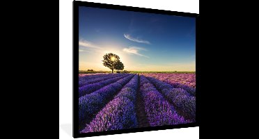 PosterMonkey - Poster - Fotolijst - Lavendel - Bloemen - Boom - Zon - Landschap - Frame - 40x40 cm - Poster lavendel - Poster natuur - Foto lijst - Poster in lijst