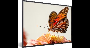 PosterMonkey - Poster in lijst - Fotolijst - Vlinder - Insect - Bloemen - Natuur - Poster - Kader - 40x30 cm - Poster frame - Poster dieren - Foto in lijst - Wanddecoratie