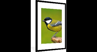 PosterMonkey - Poster - Fotolijst - Vogel - Koolmees - Groen - Dieren - Foto in lijst - Kader - 80x120 cm - Poster vogels - Poster dieren - Wanddecoratie - Posterlijst - Posters