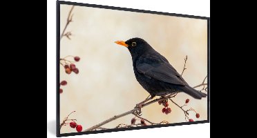 PosterMonkey - Poster - Fotolijst - Merel - Vogel - Takken - Bes - 90x60 cm - Poster natuur - Foto lijst - Poster frame - Poster vogels