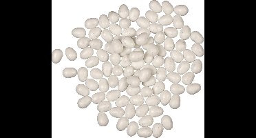 Duvoplus - Vogelnest - Vogel - Ei Kanarie Exoten Wit - 1st