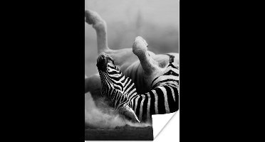 Poster Zebra - Dieren - Zwart - Wit - 20x30 cm