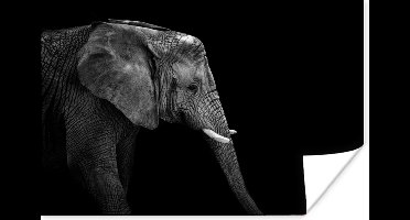 Poster Olifant - Zwart wit - Portret - Dieren - 30x20 cm