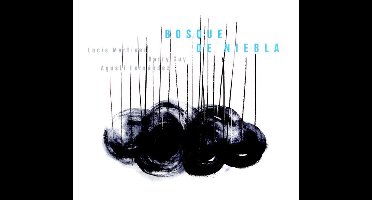 Agusti Fernandez - Bosque De Niebla (CD)