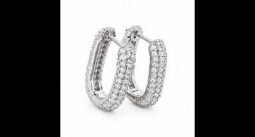 Oorbellen- Zilverkleurig - Verguld - Roestvrijstalen oorbellen - sieraden – Cadeau tip – Hip - Trendy