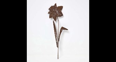 Corten stalen Narcis,decoratie,tuinsteker 35 cm
