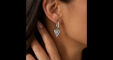 Oorbellen - Zilverkleurig - roestvrij staal - verguld - Sieraden - Oren - Vrouwen- verjaardag cadeau - cadeau - Schattige Oorbellen