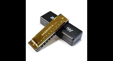 Professionele mondharmonica 10-gats toonsoort C Blues mondharmonica Educatief muziekinstrument met koffer Beginnersles cadeau