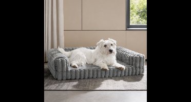 Orthopedische Hondenmand Medium Van Traagschuim Voor Optimale Ondersteuning – Hondenbed Middelgrote Hond Waterdicht en Antislip Voor Dagelijks Gebruik – Dierenmand Met Wasbare Hoes en Zacht Hondenkussen
