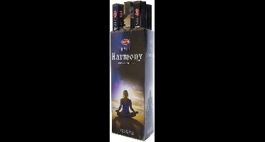 Harmony HEM - 6 pakjes -120 stuks wierook stokjes Boeddha-Store