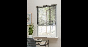 Bruynzeel Plissehor raam s500 103x155 alu
