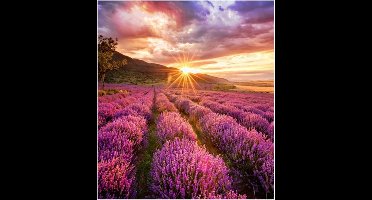 Samsung Smart LED Signage Indoor LED IF025HX 2.5mm pitch 192x216 pixels 1200 nits 1920-3840Hz