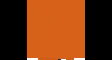 Rocada whiteboard - Skincolour - 100x100cm - oranje gelakt - RO-6425R-2008