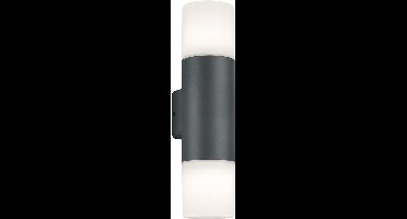 TRIO HOOSIC - Wandlamp - Antraciet - excl. 2x E27 28W - Buitenverlichting - IP44
