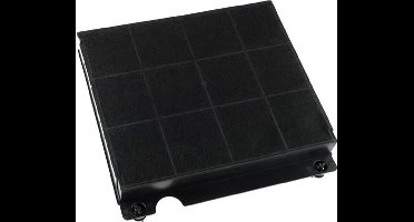 Sauter Koolstoffilter 35602055 /