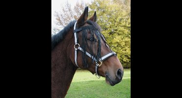 Excellent - Vliegenfrontriem Paard Cob - Katoen - vliegenmasker voor paarden - bescherming tegen insecten - Zwart