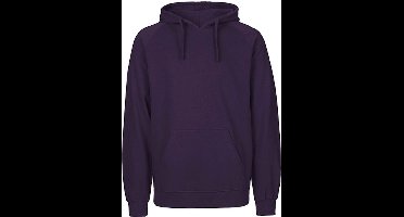 Neutral Men´s Hoodie NE63101 - purple - XXL