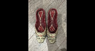 Indiase schoenen / leren punjabi jutti maat 36