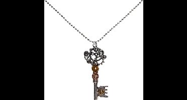 Steampunk ketting sleutel