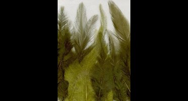 Creative Feathers 8,5-15cm 15pcs forest