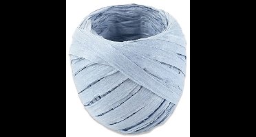 Witbaard Lint 20 Meter Papier Zilver