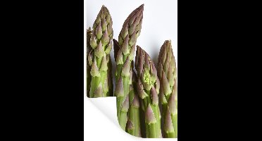 Muurstickers - Sticker Folie - De uiteinden van asperges of Asparagus officinalis met een witte achtergrond - 20x30 cm - Plakfolie - Muurstickers Kinderkamer - Zelfklevend Behang - Zelfklevend behangpapier - Stickerfolie
