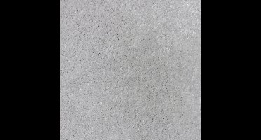 Vloerkleed Xilento Soft Pristine | 200 x 300 cm