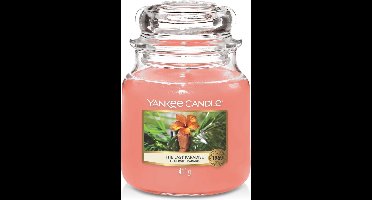 Yankee Candle The Last Paradise Medium Jar