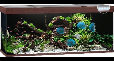 Juwel Aquarium Rio 450 Led 151x51x61 cm - Aquaria - Donker Hout