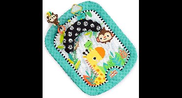 Babygym, Baby cadeau - jongen & meisje, Dierenvriendjes Speelmat, Interactief Speelgoed - Multikleuren.