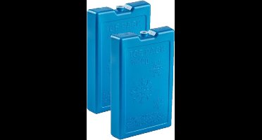 Plasticforte 1000 grams koelelementen - 4x stuks - 22 x 14 x 3 cm - blauw - kunststof - met sneeuwvlokken print - koeltas - koelbox