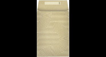 Stewo Cadeauzakjes uitdeelzakjes > 17,5x25+6cm | 25 Stuks | Ali