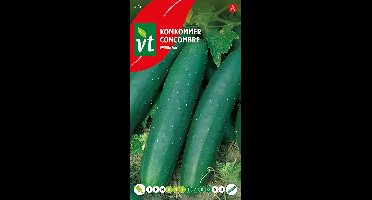 Komkommer Marketer Zaden - Sappige Vruchten van ca. 20 cm Lang