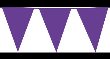 6x Giga Vlaggenlijn Paars 30x45cm 10 meter XXL - Verjaardag Feest Party Festival Poolparty Decoratie