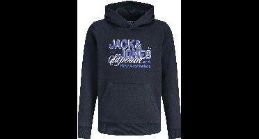 Jack & Jones Junior Hoodie Hoodie Junior