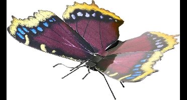 Metal Earth Mourning Cloak