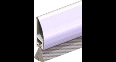 Ellen Dorpelstrip RDS-B 100 - Inox RVS - 100 cm