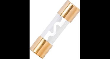 Glaszekering 10A - 4 stuks