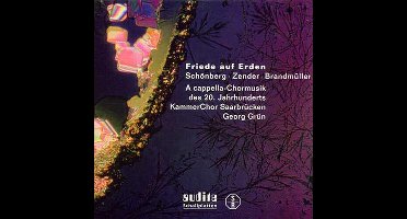 Peace On Earth Capella Choral Music