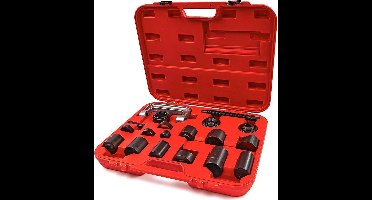 Professionele Fuseekogel Demontage Set 21 Delig