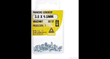 Spaanplaatschroeven Lenskop Verzinkt 3.5x9.5mm 30st.