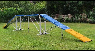 Topmast + professionele Agility Katteloop