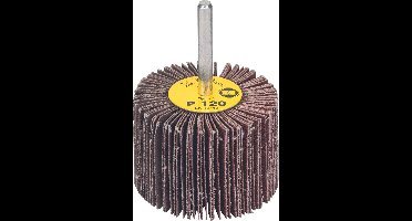 Bosch - Lamellenslijper 6 mm, 120, 60 mm, 40 mm