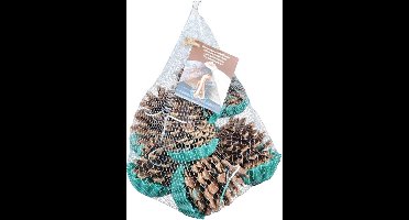 Dennenappel aanmaakblokjes 10-stuks