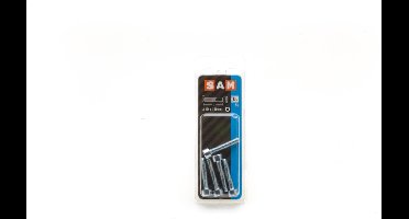 SAM Binnenzeskantbout M6 x L30mm verzinkt 6 stuks