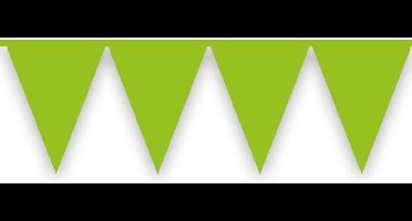 Vlaggenlijn lichtgroen (10m)